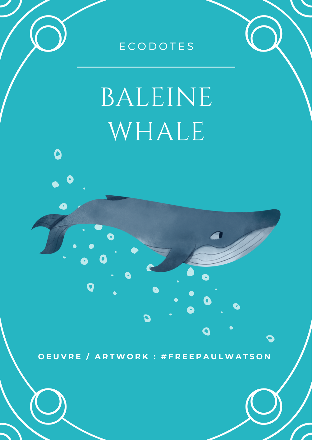 ecodotes-baleine-poseid-1