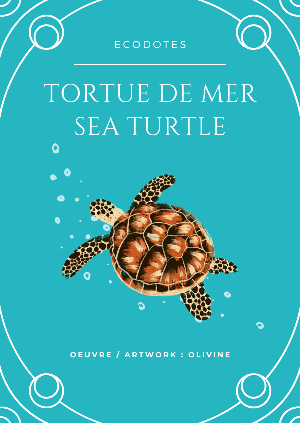 ecodotes-tortue-mer-poseid-1