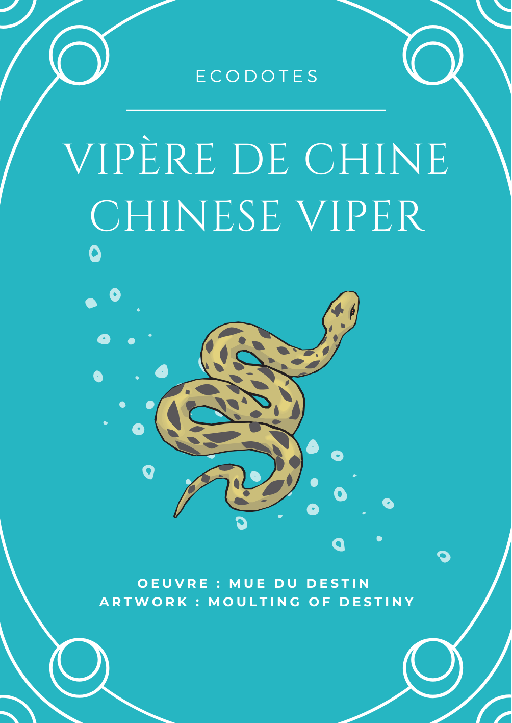 ecodotes-vipere-chine-poseid-1